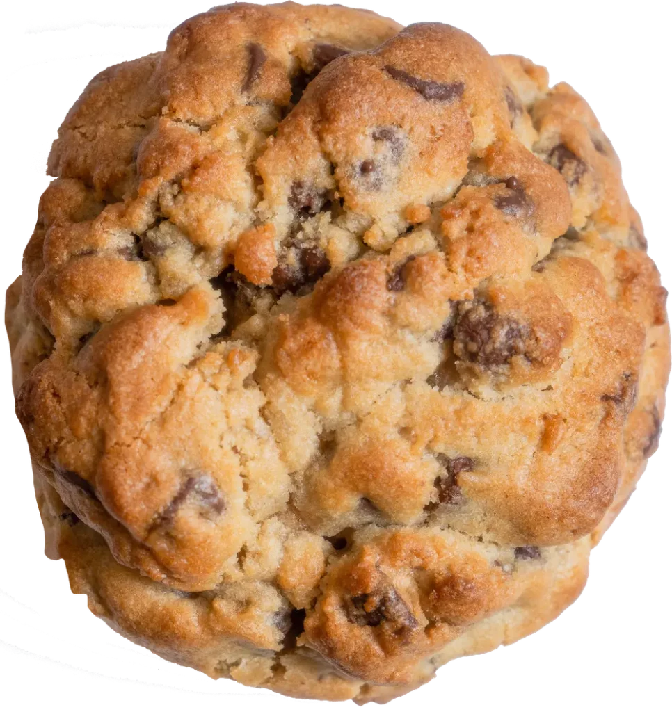 Chocolate Chip